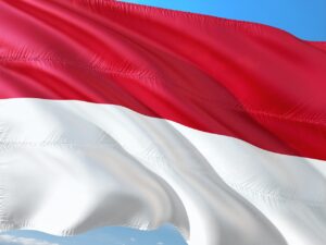 international coaching federationとは何か、どのように活用できるのか？