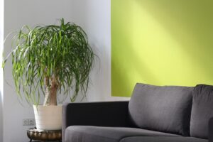 international coaching federationとは何ですか？
