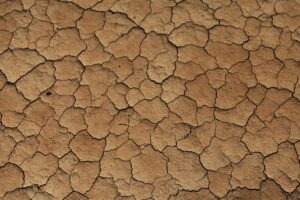 無利子で学費を分割して支払うコーチングのメリットは？