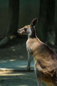 副業でビジネスコーチが案件を獲得するための方法は？